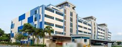 Pandan Crescent (D5), Factory #640252601